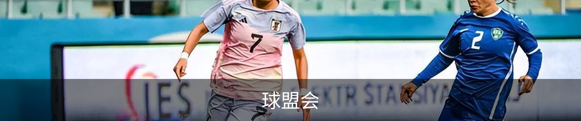 球盟会